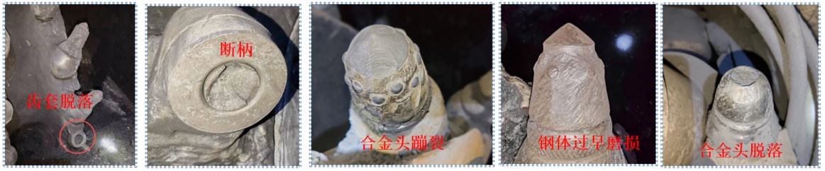6a7e956cd5ae6.jpg 图片2.jpg